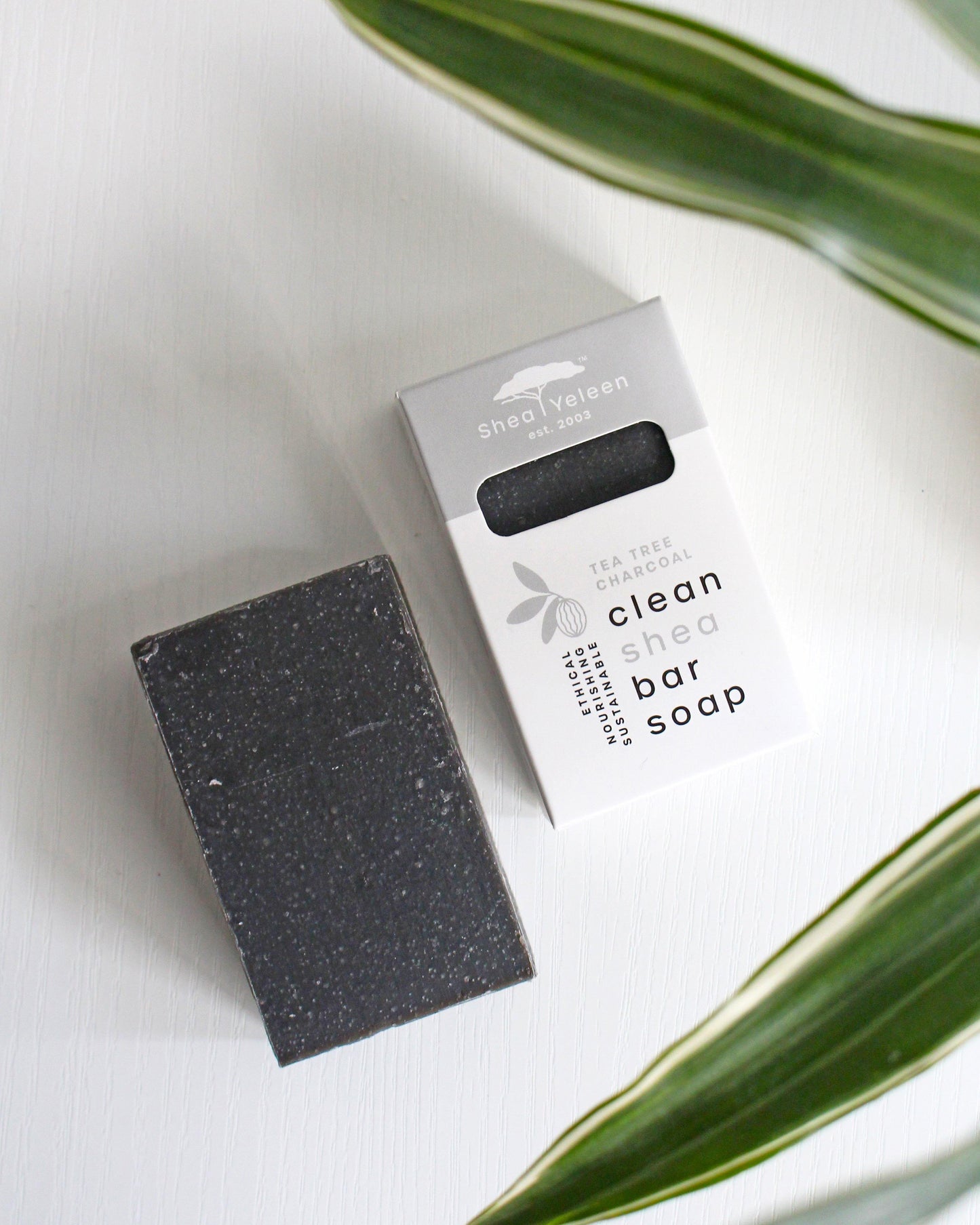 Tea Tree Charcoal Shea Butter Soap - SheaYeleen