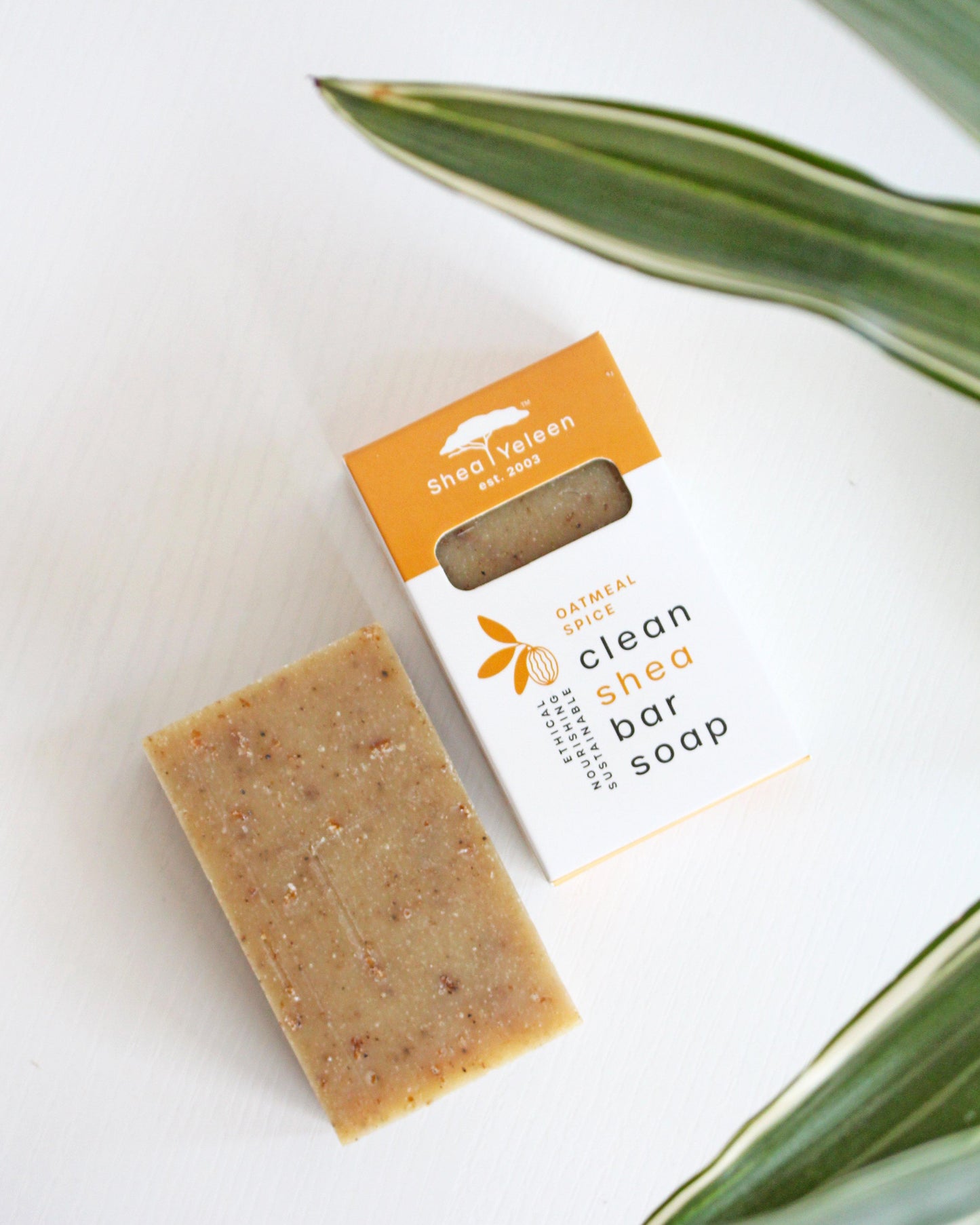 Oatmeal Spice Shea Butter Soap - SheaYeleen