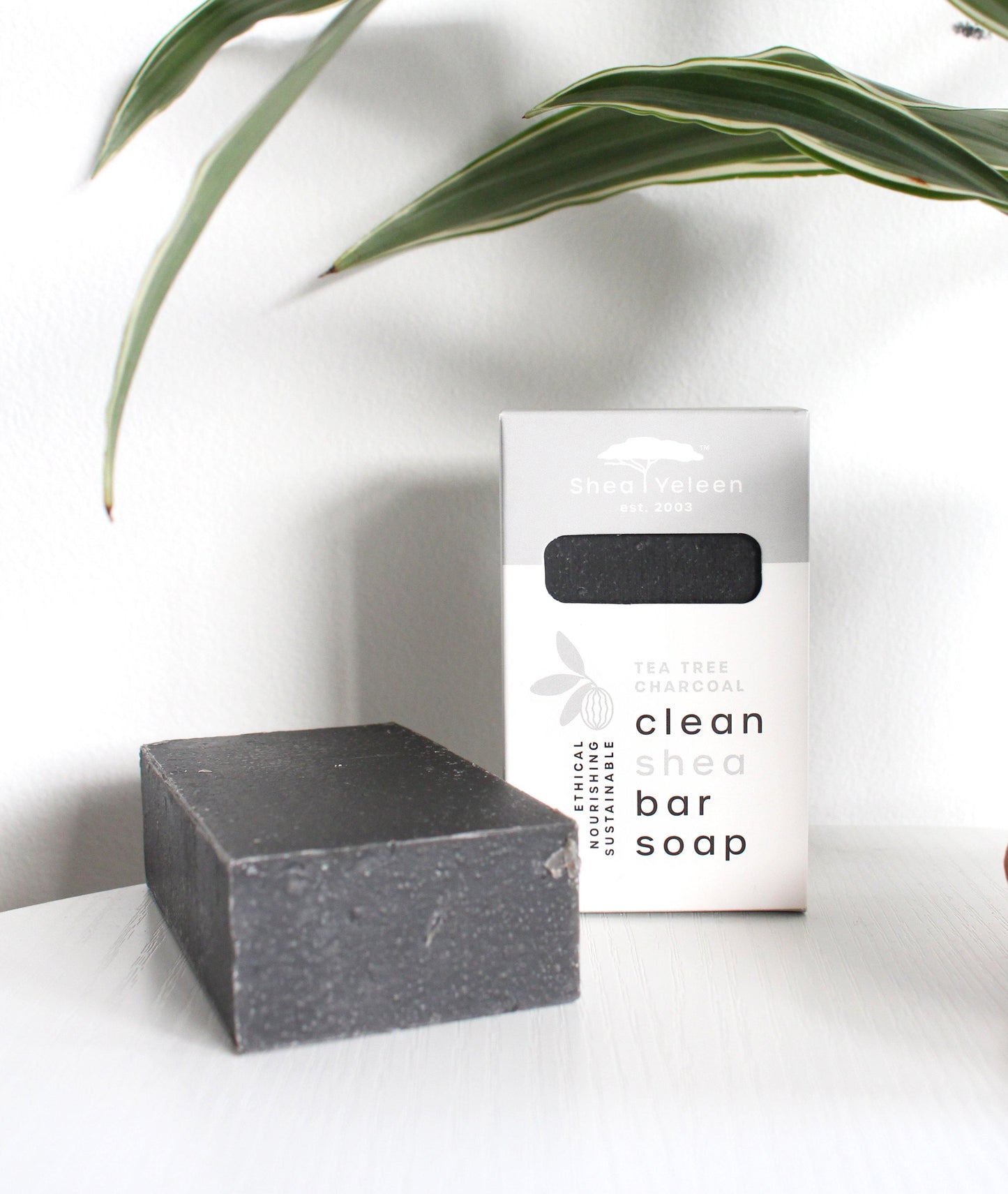 Tea Tree Charcoal Shea Butter Soap - SheaYeleen