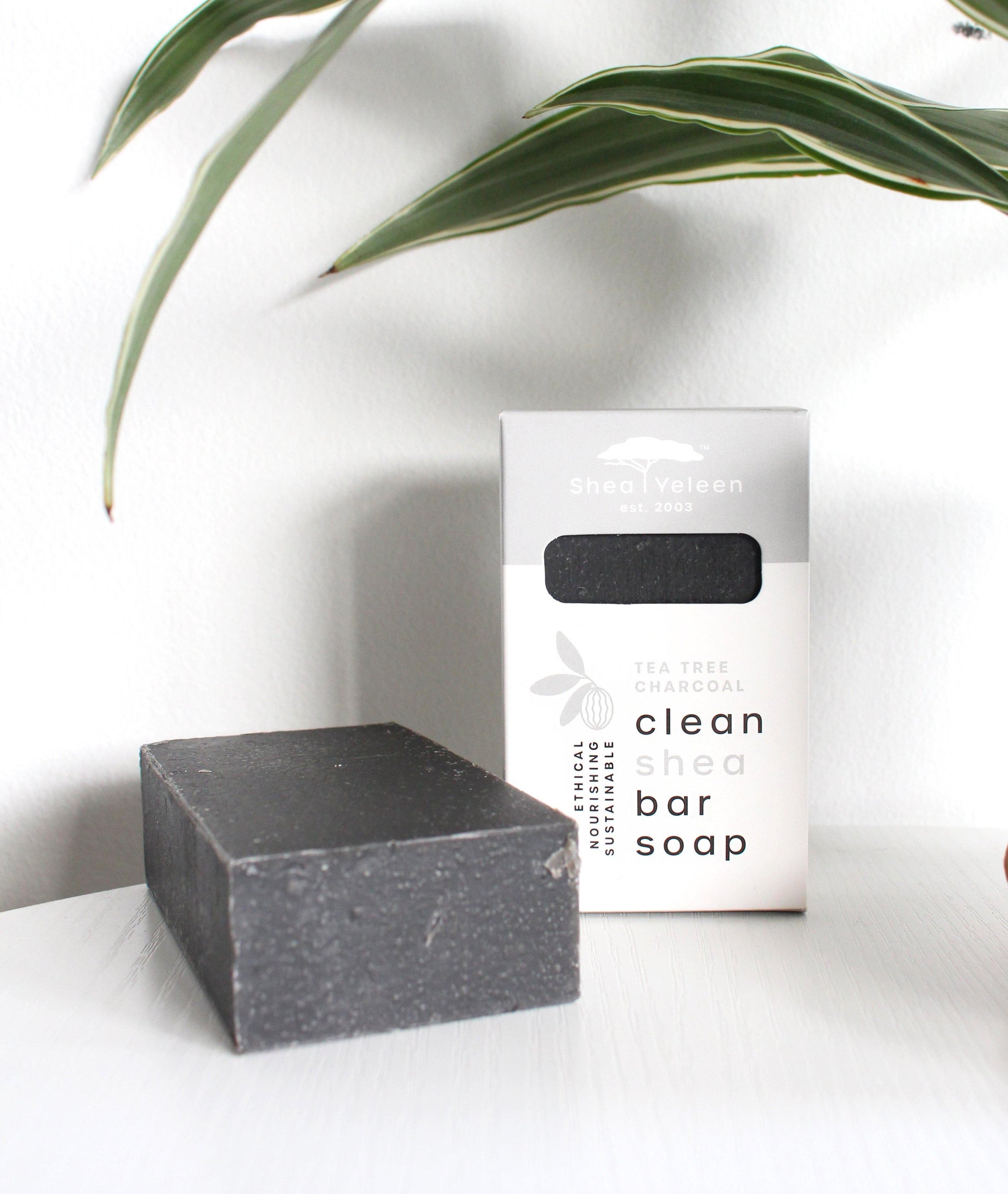 Tea Tree Charcoal Shea Butter Soap - SheaYeleen